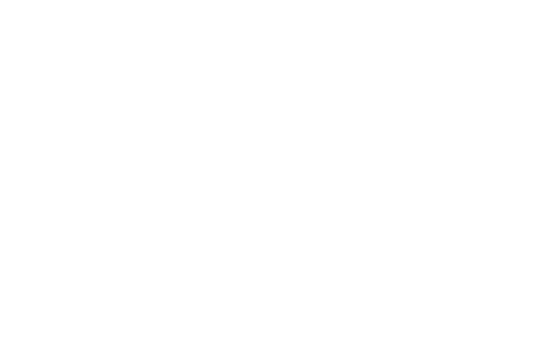 A logo with the word "Twill" in cursive font and "at the mill" in smaller font below it.